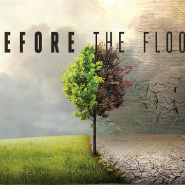 Before the flood: Punto di non ritorno