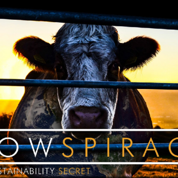 Cowspiracy: il segreto della sostenibilità