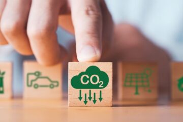 I crediti di carbonio sono un ottimo strumento per testimoniare le azioni di sostenibilità e di tutela ambientale intraprese dalle aziende.