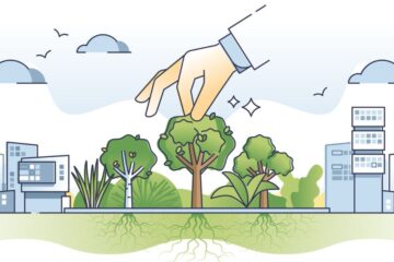 Gli ecoquartieri sono un modello per vivere in modo sostenibile, raggiungere il massimo comfort per le persone, rispettando l’ambiente. I casi in Italia.